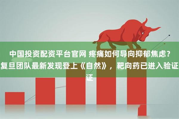 中国投资配资平台官网 疼痛如何导向抑郁焦虑？复旦团队最新发现登上《自然》，靶向药已进入验证