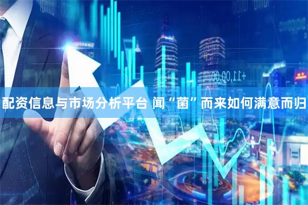 配资信息与市场分析平台 闻“菌”而来如何满意而归
